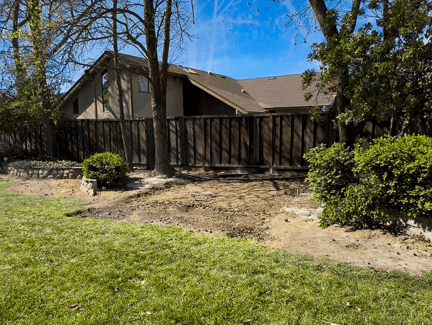 Same backyard after the shed was removed